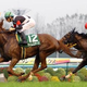 Illustration for article titled Playing the Interesting and Interactive Horse Racing Fantasyem/em